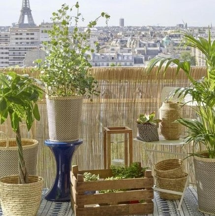 Quelles plantes choisir pour cacher son balcon de la vue des voisins -  Plantes qui cachent le balcon 