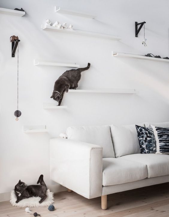 Aménagez un mur d'escalade pour votre chat