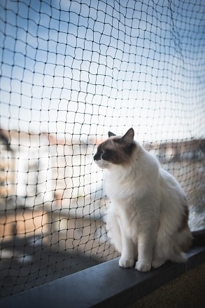 Comment sécuriser un balcon pour les enfants & les animaux ?