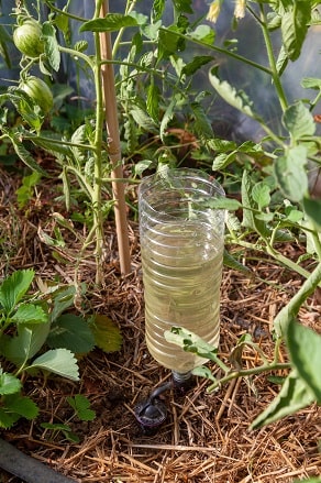 Système de bouteille plastique goutte à goutte dans un jardin