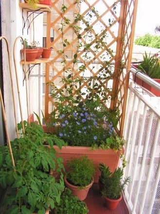 6 solutions pour se protéger du vis-à-vis sur un balcon !