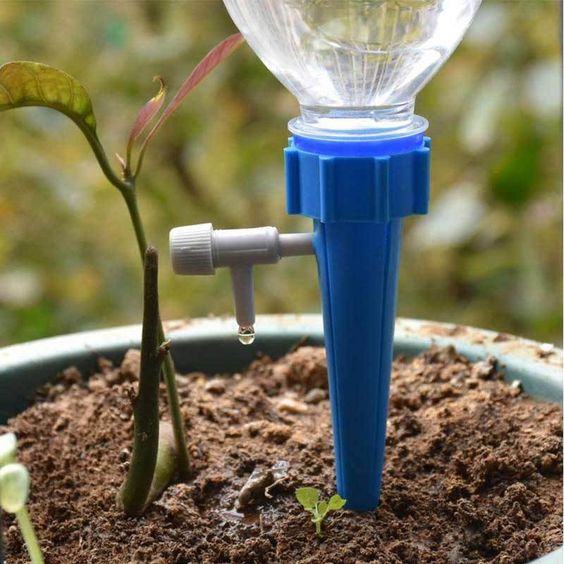 Arroser ses plantes pendant les vacances - La Fourche