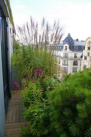 Quelles plantes choisir pour cacher son balcon de la vue des voisins -  Plantes qui cachent le balcon 