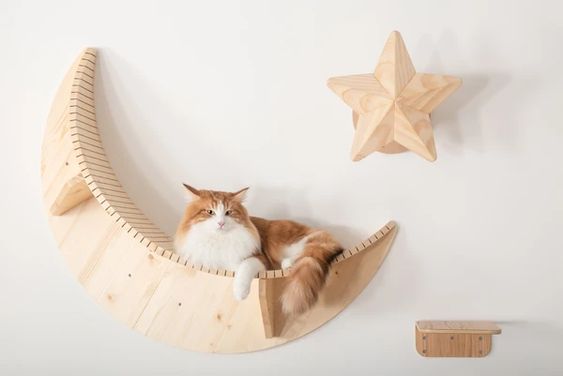 Set 3 Étapes De Mur Chat En Bois Pas Échelle D'escalade Pour