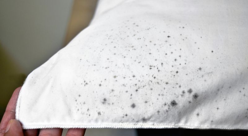 Comment enlever de la moisissure sur du tissu ? 8 astuces