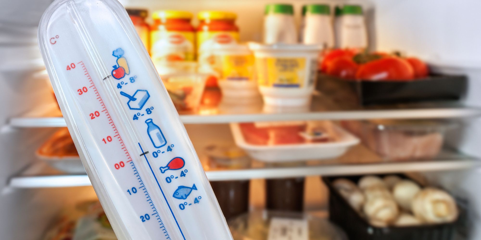frigo qui ne fait pas assez de froid