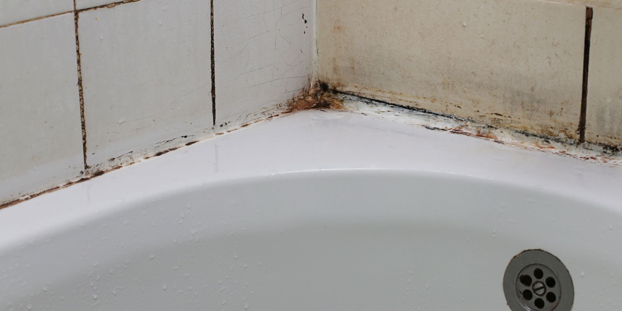 Que faire en cas de moisissures sur le plafond de votre salle de bain?