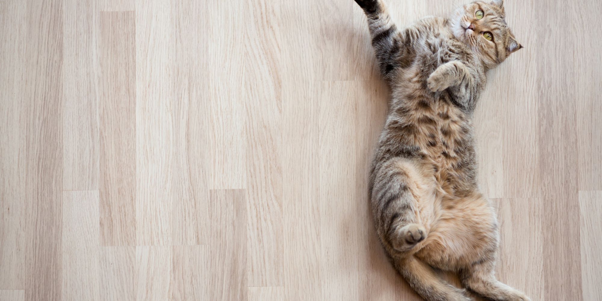 pose d'un parquet à l'anglaise