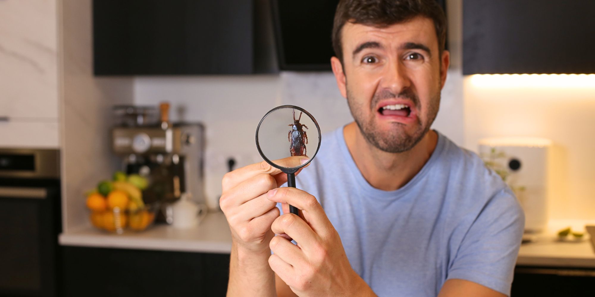 Homme choqué observant un cafard à la loupe, l'air de se demander "pourquoi j'ai des cafards chez moi ?"