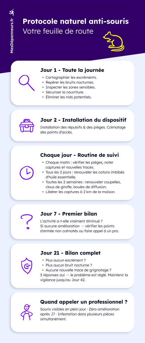 infographie expliquant comment faire fuire les souris rapidement via un protocole naturel sur 21 jours