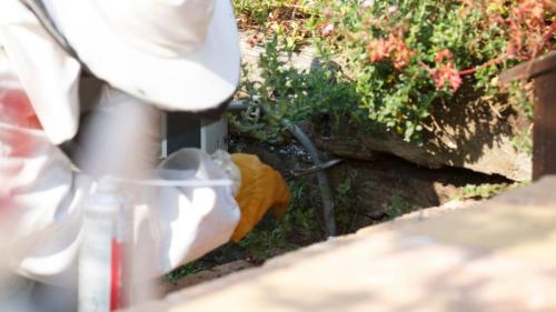 dératiseur en train d'inspecter une ouverture dans le sous bassement d'une maison. Une dératisation commence toujours par découvrir comment les rats rentrent dans une maison, un appartement ou un local