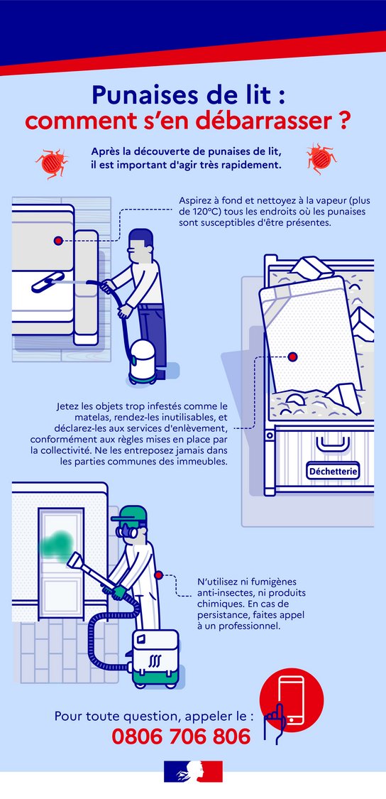 Infographie pour éliminer les punaises de lit
