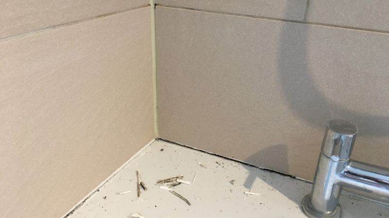 Joint silicone enlevé sur un plan de lavabo, avec résidus visibles avant nettoyage et repose d’un nouveau joint dans une salle de bain.