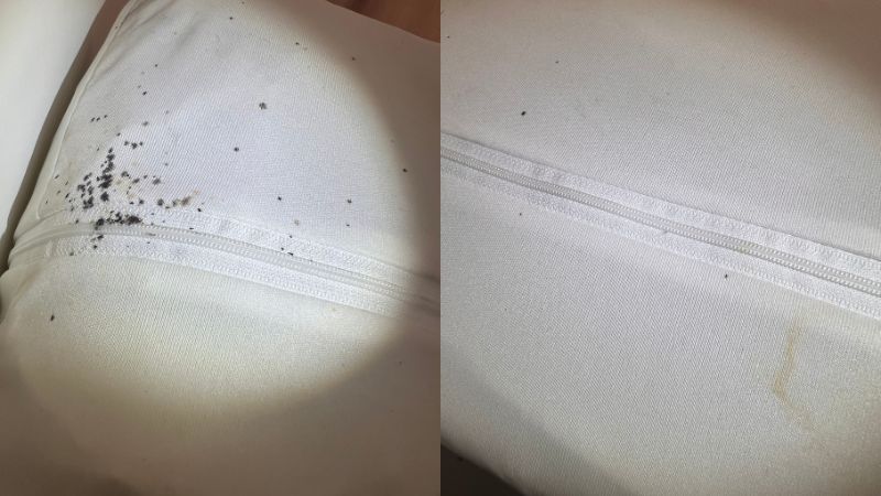 excréments de punaises de lit sur drap blanc, petites taches noires caractéristiques