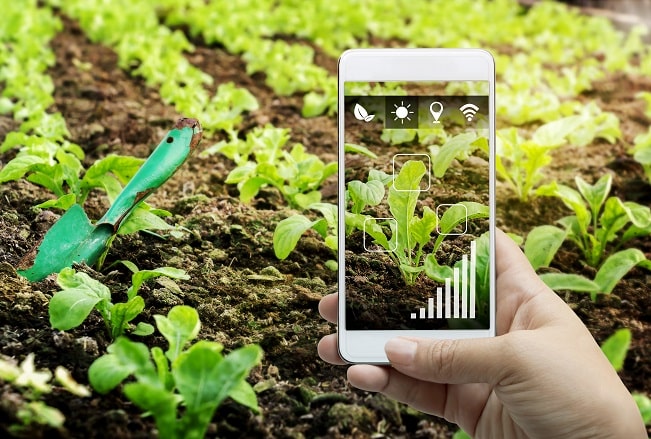 BioGarden, подключенное решение для сада, замечено на выставке CES 2022