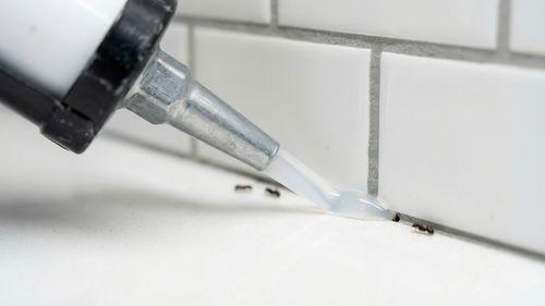 Application d'un gel appât anti-fourmis sur une plinthe de cuisine avec des fourmis noires en approche, meilleur produit pour éliminer les fourmis des jardins et leur colonie