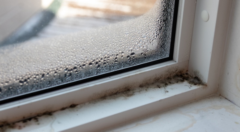 Condensation sur un Velux : pourquoi et que faire ?