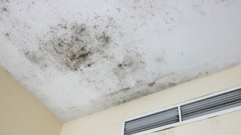 Tâches de moisissure sur le plafond