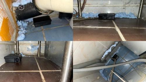 obturation de trou avec une mousse montrant ce qui peut être compris dans le prix établi par une société de dératisation professionnelle