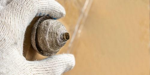 main gantée de professionnel en train d'enlever un petiit nid de guepes, pour illustrer le concept de tarif pour la destruction du nid