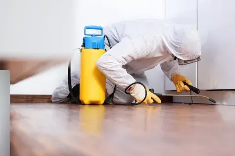 expert nuisibles