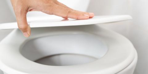 changement de l'abattant d'un WC