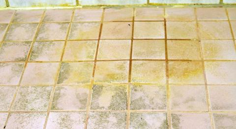 taches de moisissures sous un carrelage de salle de bain 