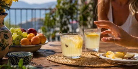 Comment éloigner les guêpes ? 7 répulsifs validés par la science