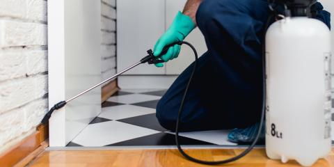 professionnel en train d'appliquer un traitement chimique une cuisine pour illustrer la question de combien de temps dure une désinsectisation de cafard