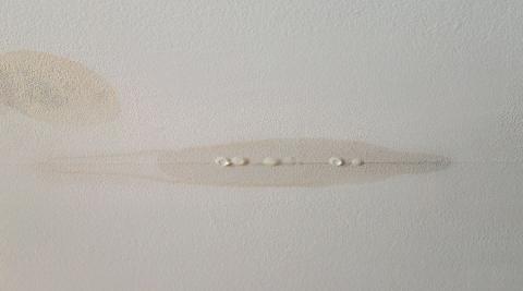 auréole d'humidité sur un plafond, fissure, et gouttes d'eau qui perlent