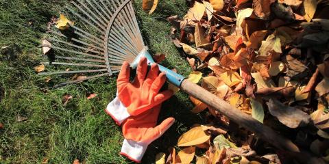jardin avec des feuilles mortes