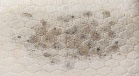 moisissure sur le matelas