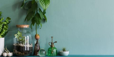 peinture écologique sur un mur
