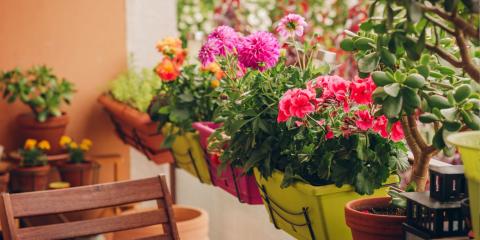 plantes-balcon