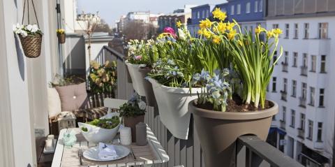 Plantes dans une jardinière pour éviter le vis-à-vis sur un balcon.