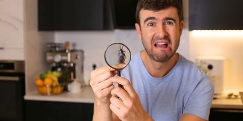 Homme choqué observant un cafard à la loupe, l'air de se demander "pourquoi j'ai des cafards chez moi ?"