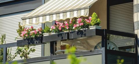 Un store et des plantes créent de l'ombre sur un balcon.