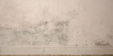 mur-taches-humidite 