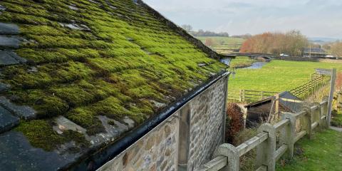 Toit de maison en ardoise fortement envahi par la mousse
